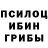 Псилоцибиновые грибы Cubensis Laszlo Golej