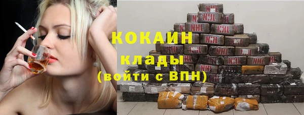 стафф Алзамай