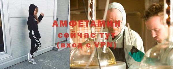 стафф Алзамай