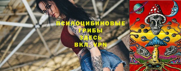 спайс Алексин