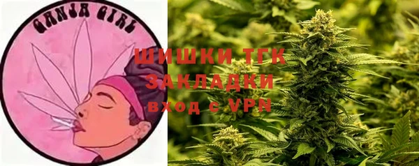 спайс Алексин